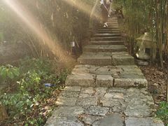 -江心屿景区