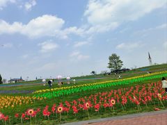 -云漫湖生态度假公园