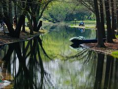 -上海共青森林公园