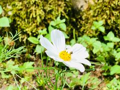 -山王坪喀斯特国家生态公园