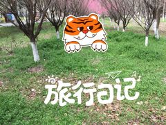 -南湖湿地公园