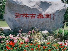 -御林古桑园