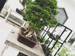 -稍可轩博物馆餐厅