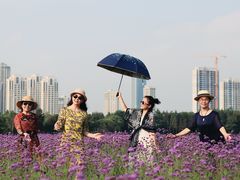 -山明水秀大饭店