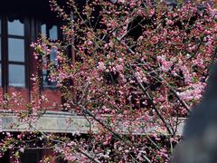 -留园