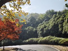 -宜兴龙背山森林公园