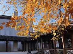 -秋霞圃
