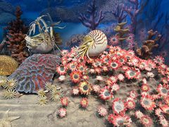 -国家自然博物馆