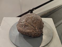 -北京周口店北京人遗址博物馆