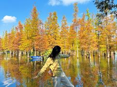 -白鹭湾湿地公园