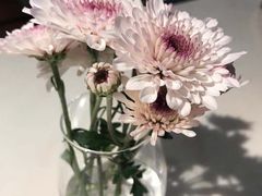 -伊斯坦布尔土耳其清真咖啡餐厅