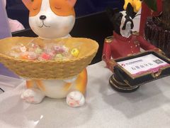 -全心全意连锁动物医院(石景山店)