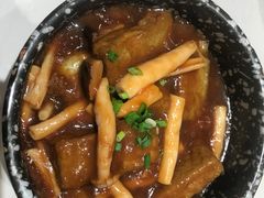 -南枝记