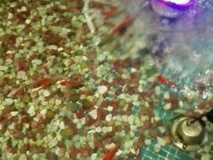 -水晶之星洗浴温泉汗蒸