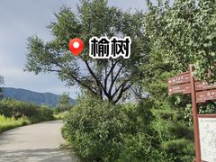 -北京西山国家森林公园