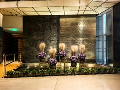 -广州富力君悦大酒店空中花园