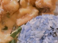 -马来MO简餐.南洋风味料理(美食街店)