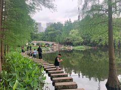 -重庆彩云湖湿地公园