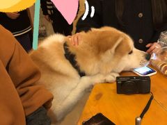 -餐酒吧Com-ing Bar(上海路店)