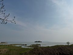 -陈家镇裕安农贸市场