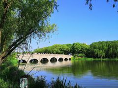 -昆山城市生态森林公园