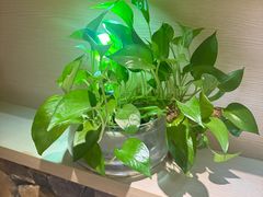 -麦子MaiMassage(打浦桥店)