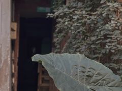 -书隐楼