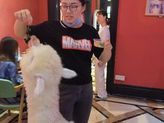 -猫色咖啡·猫咖