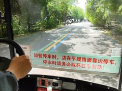 -盐城丹顶鹤湿地生态旅游区
