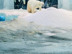 -珠海长隆海洋王国