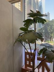 -菲·木田moontin造型salon