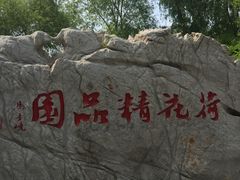 -微山湖红荷湿地景区