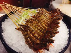 大花虾-官也街澳门火锅(新源里店)