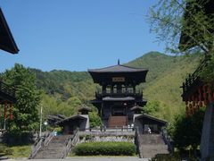 -大唐贡茶院
