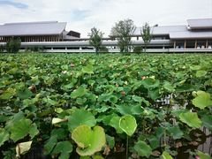 -东钱湖旅游度假区