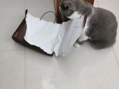 -宠颐生宠物医院外科·内科·皮肤科·影像科(石龙店)