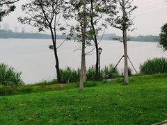 -金银湖国家城市湿地公园
