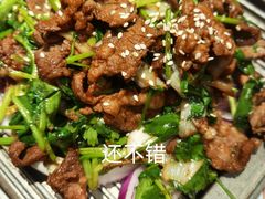 -新侨小馆(东直门北小街店)