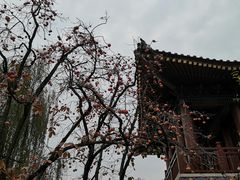 -华清宫景区