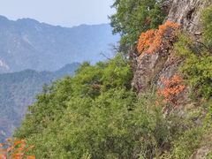 -秦岭终南山世界地质公园翠华山景区