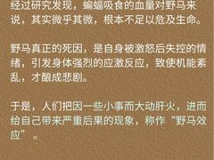 -安肯心理咨询(长宁旗舰店)