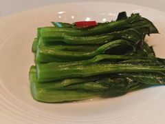 -粤江春·早茶·潮粤菜·宴会(罗湖宝能中心店)