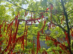 -重庆十八梯传统风貌区