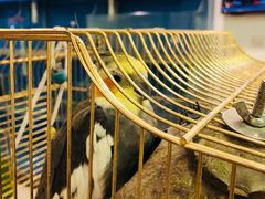 -潇湘·永州会馆(百子湾店)