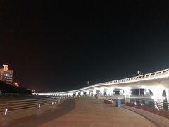 -演武大桥观景平台