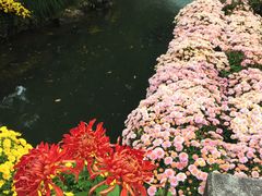 -杭州植物园