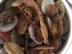 -宾朋海鲜特色美食餐厅·纯手工鲅鱼水饺(兴海路店)