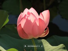 -北海公园