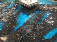 -盒马鲜生(曜一城店)