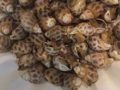 -老伙记海鲜码头(北滘店)